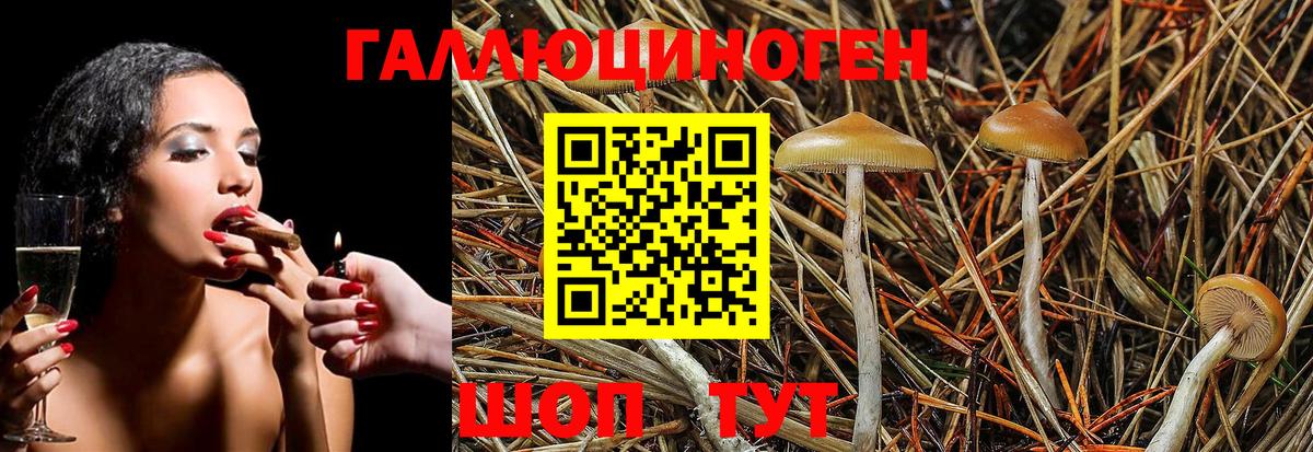 Галлюциногенные грибы Magic Shrooms  Вход с VPN  закладки  Гатчина 